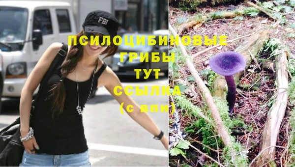 метадон Абдулино