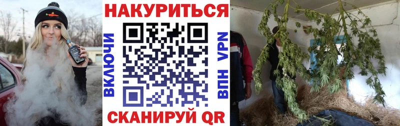 Конопля сатива  shop состав  Урень 